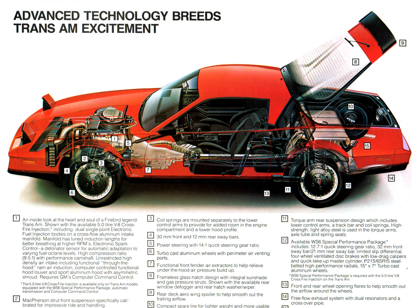 n_1983 Pontiac Firebird-06.jpg